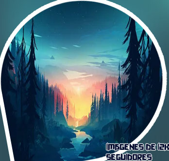 12k de seguidores