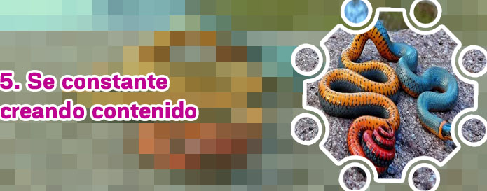 Con cuantos seguidores cobras en instagram