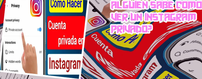 Ver seguidores de cuenta privada ig